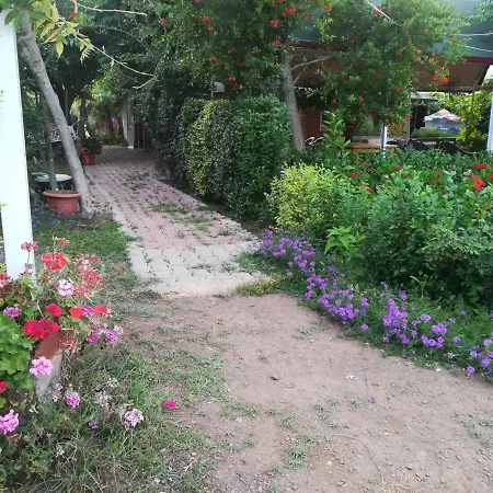 Kervan Homestay szállás
