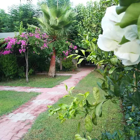 Homestay szállás Kervan Çıralı